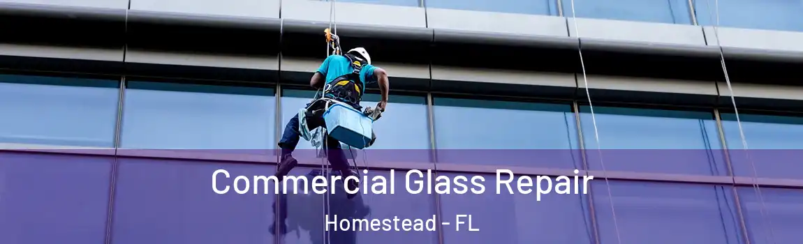  Commercial Glass Repair Homestead - FL