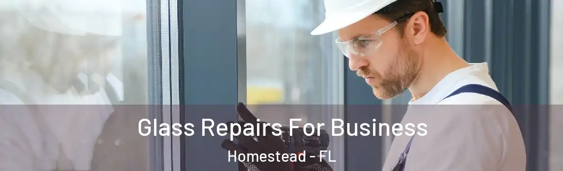  Glass Repairs For Business Homestead - FL