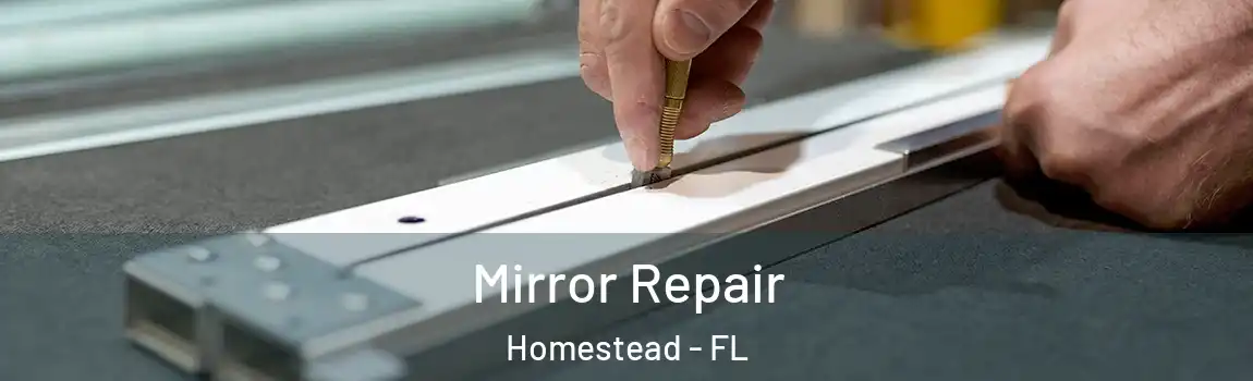 Mirror Repair Homestead - FL