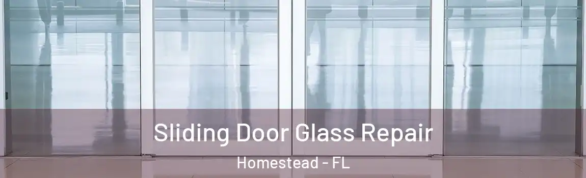  Sliding Door Glass Repair Homestead - FL
