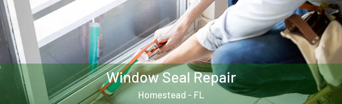 Window Seal Repair Homestead - FL